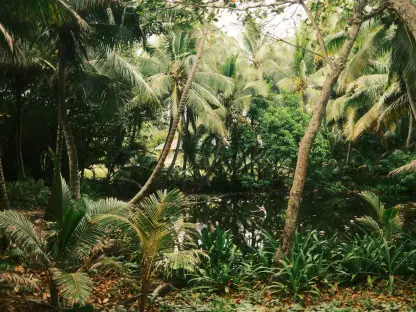 Wie schnell heilt sich der tropische Regenwald selbst?