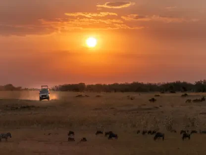 Afrikas Solarboom Übertrifft Alle Offiziellen Prognosen